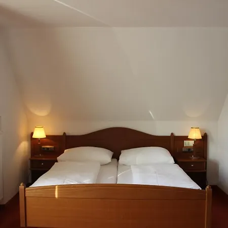 Hotel Hotel-restaurant Faustschlössl 3*